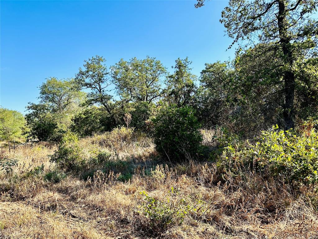 Tbd Cr 419 Property Photo 6