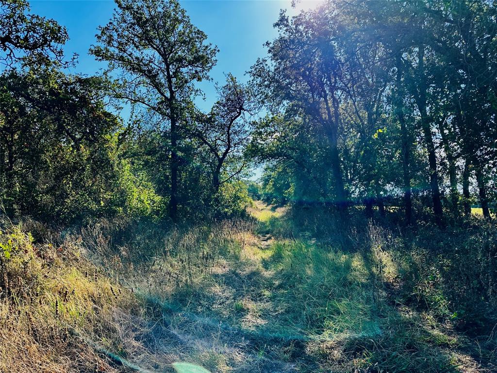 Tbd Cr 419 Property Photo 8