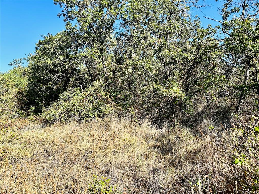 Tbd Cr 419 Property Photo 9