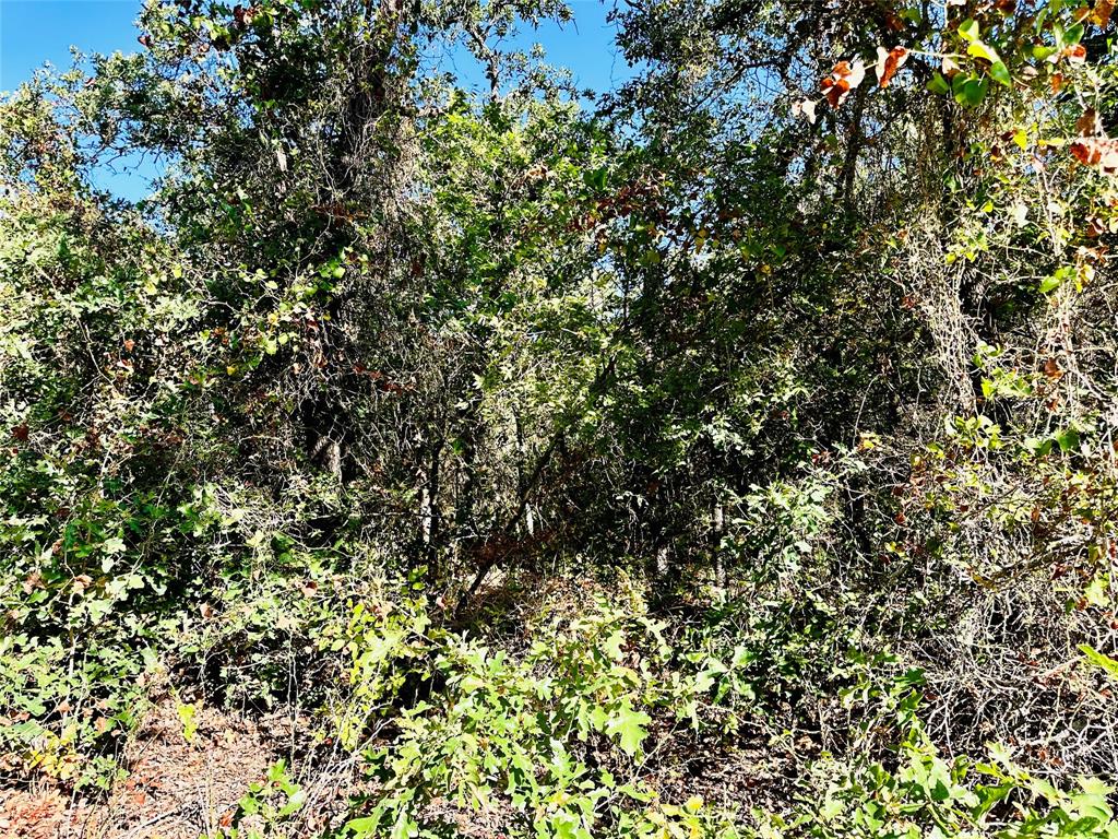 Tbd Cr 419 Property Photo 10
