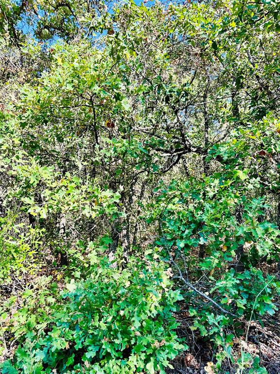 Tbd Cr 419 Property Photo 11