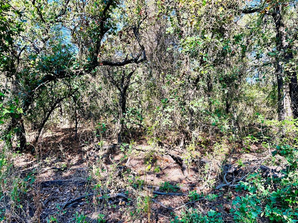 Tbd Cr 419 Property Photo 12