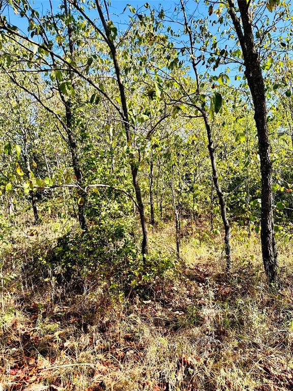 Tbd Cr 419 Property Photo 13