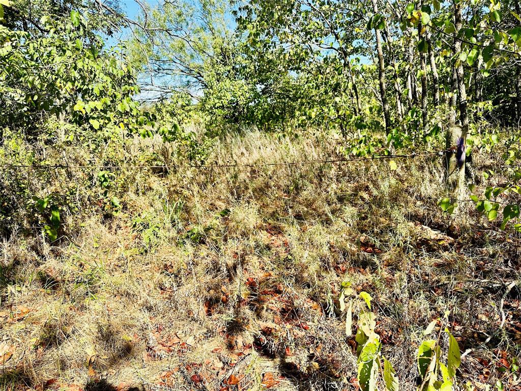 Tbd Cr 419 Property Photo 14
