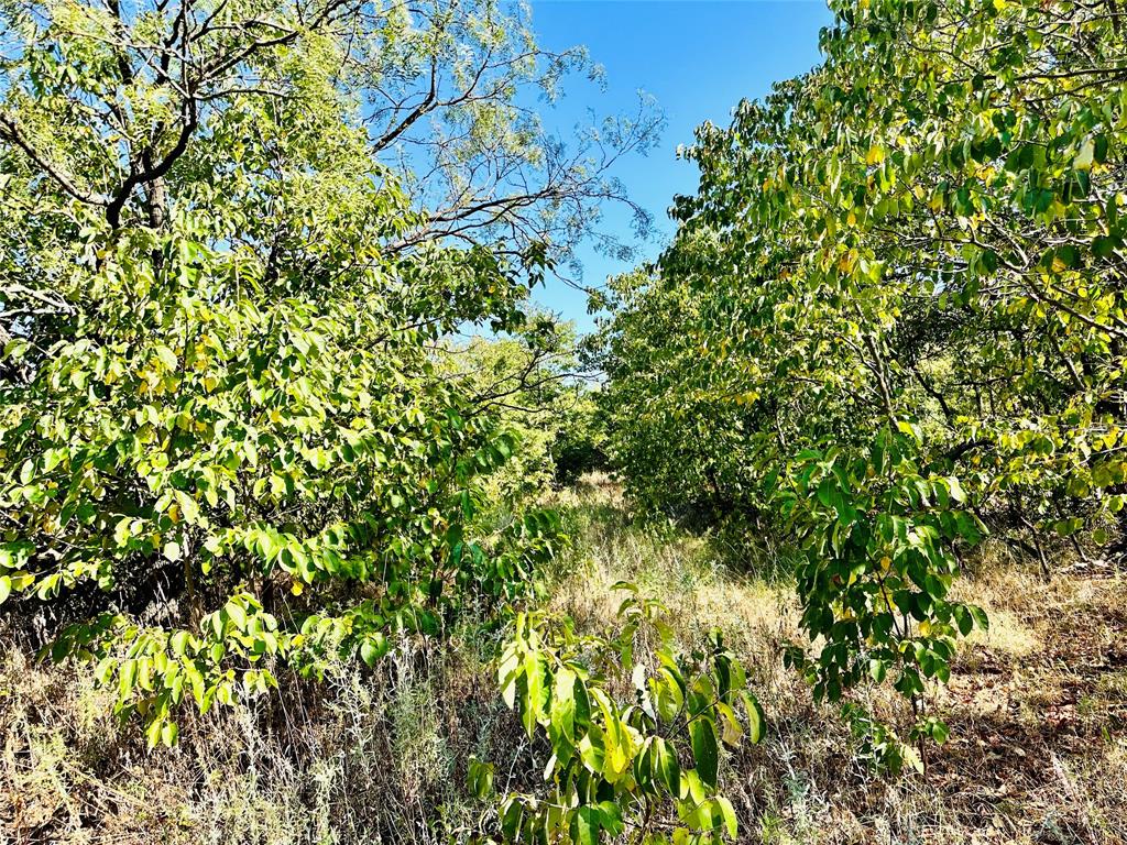 Tbd Cr 419 Property Photo 15
