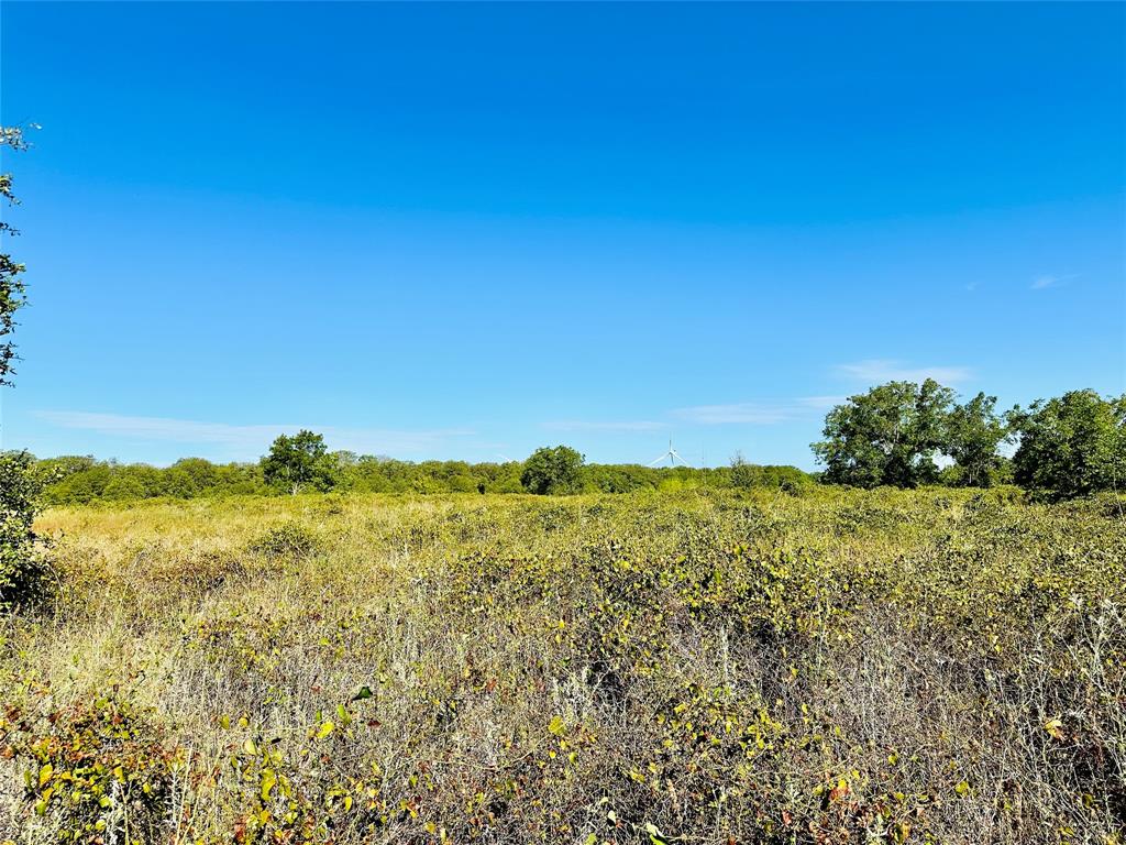 Tbd Cr 419 Property Photo 16