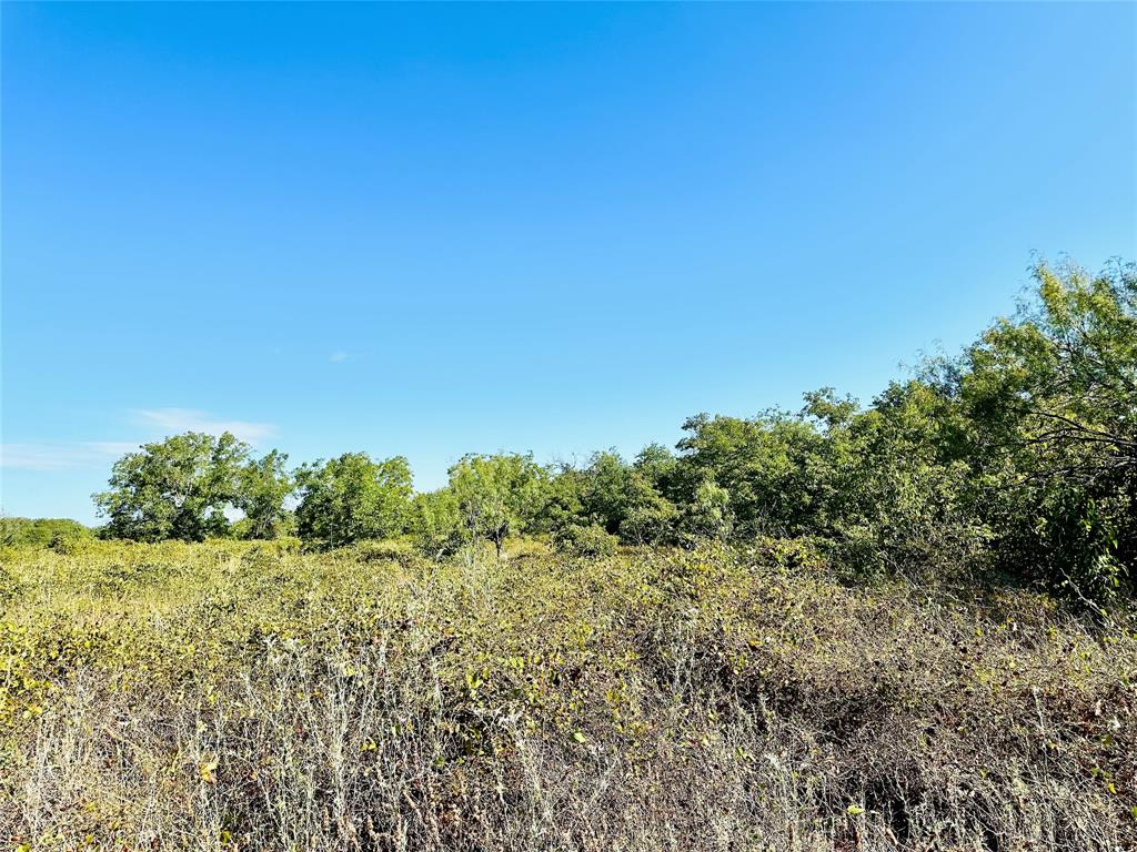 Tbd Cr 419 Property Photo 17