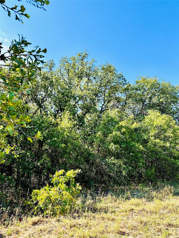 Tbd Cr 419 Property Photo 19