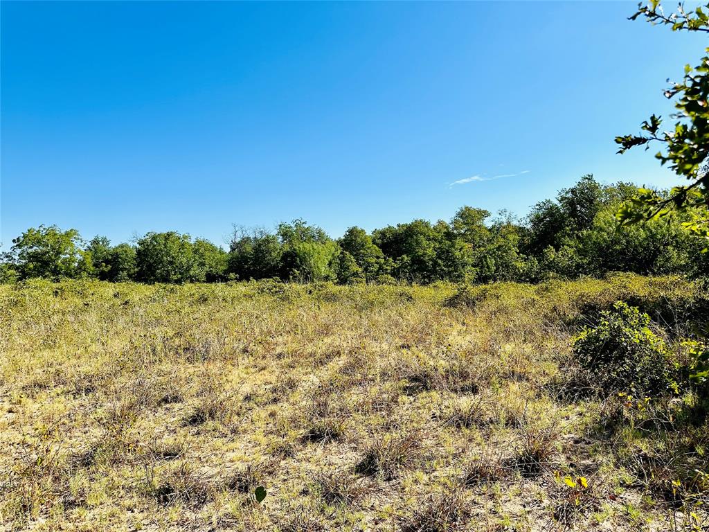 Tbd Cr 419 Property Photo 23