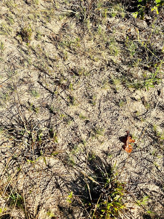Tbd Cr 419 Property Photo 24