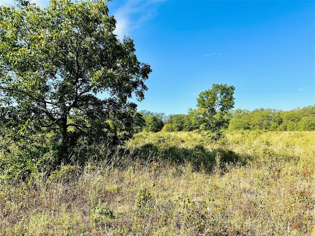 Tbd Cr 419 Property Photo 25