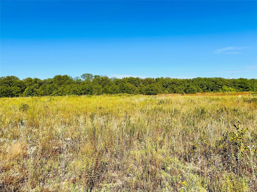 Tbd Cr 419 Property Photo 26