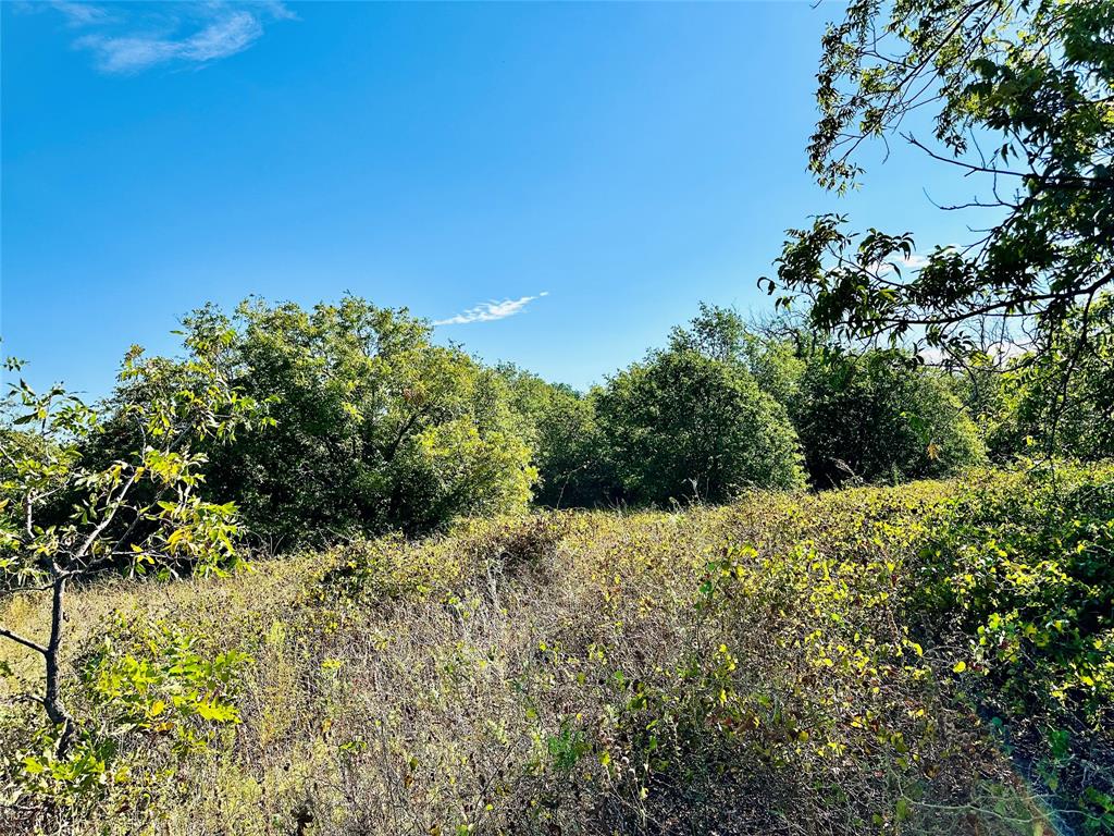 Tbd Cr 419 Property Photo 29