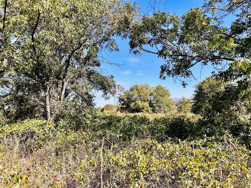 Tbd Cr 419 Property Photo 30