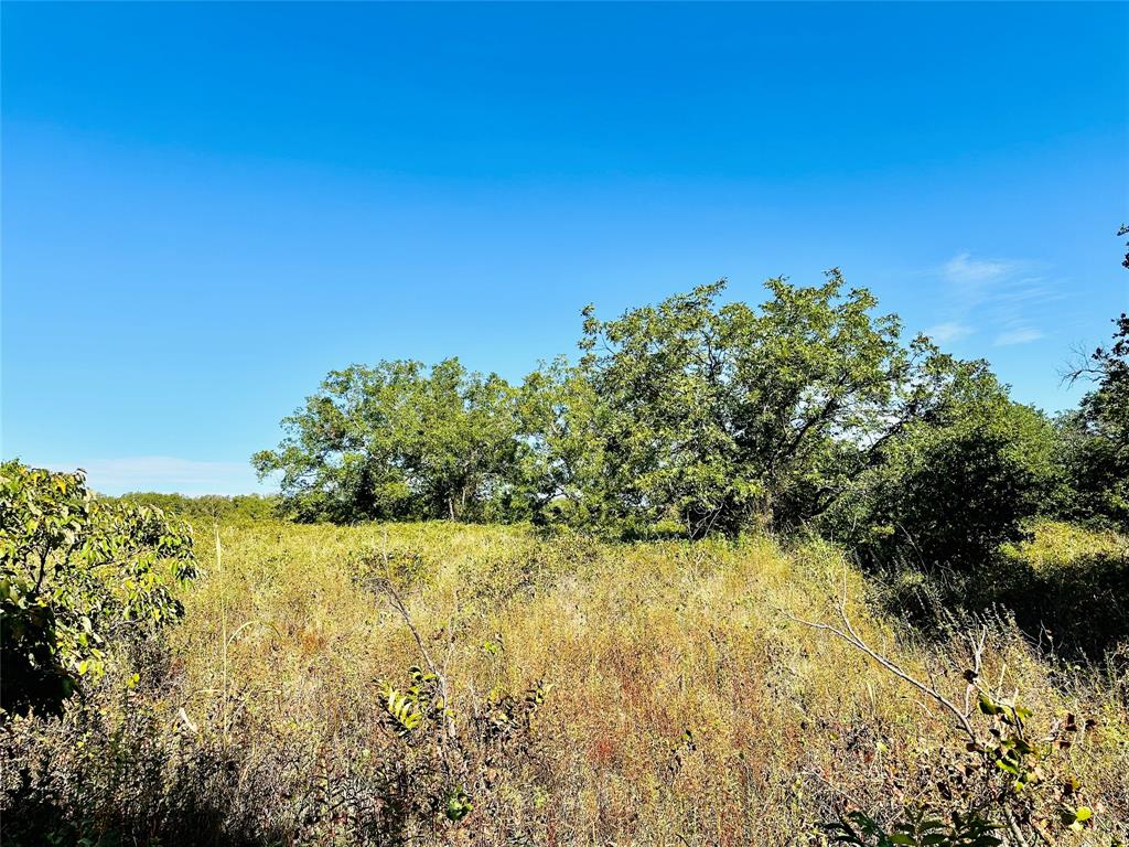 Tbd Cr 419 Property Photo 31