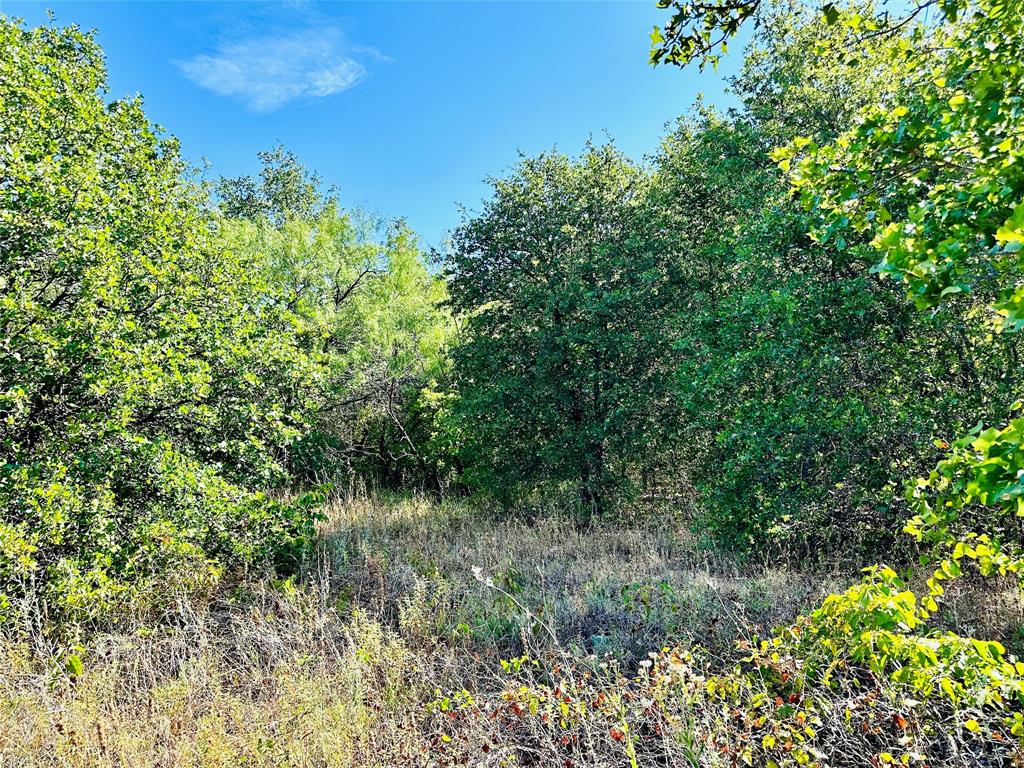 Tbd Cr 419 Property Photo 32