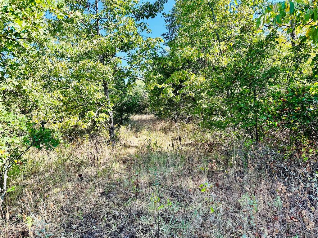 Tbd Cr 419 Property Photo 33