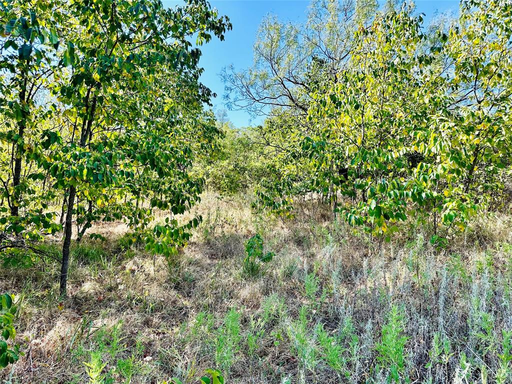 Tbd Cr 419 Property Photo 34