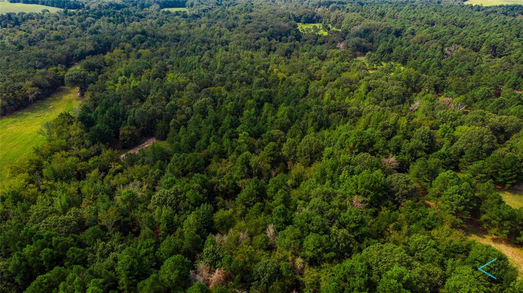 Tbd Cr 3606 Property Photo 2