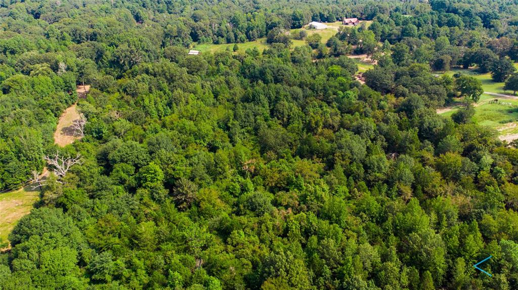 Tbd Cr 3606 Property Photo 6