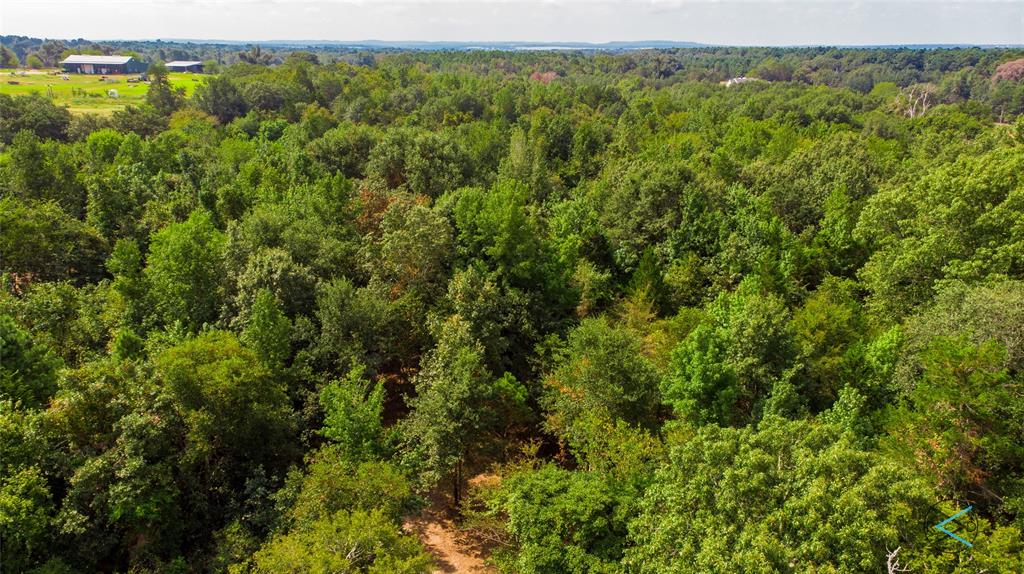 Tbd Cr 3606 Property Photo 7