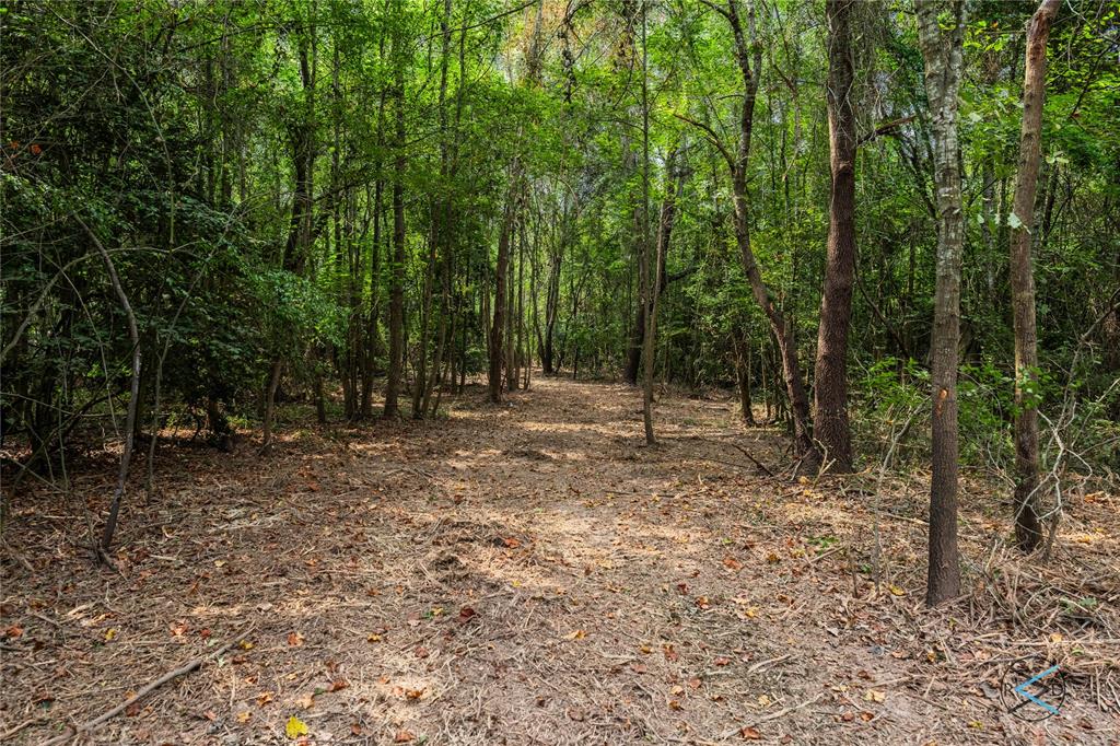 Tbd Cr 3606 Property Photo 10