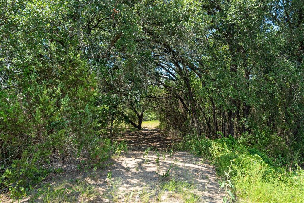 Tbd County Road 2371 Property Photo 28