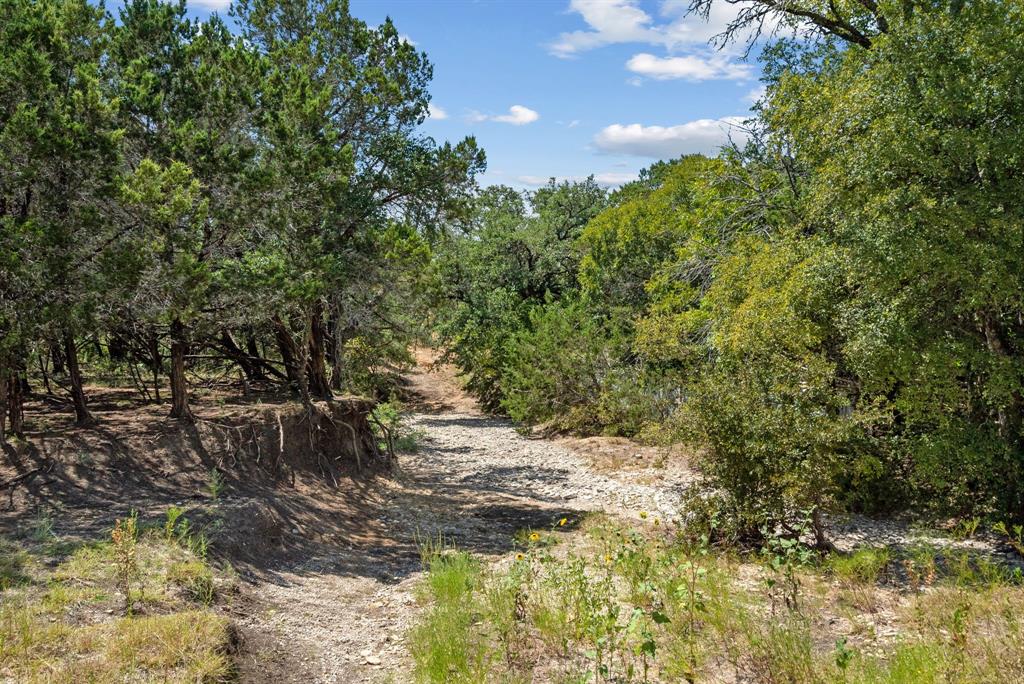 Tbd County Road 2371 Property Photo 30