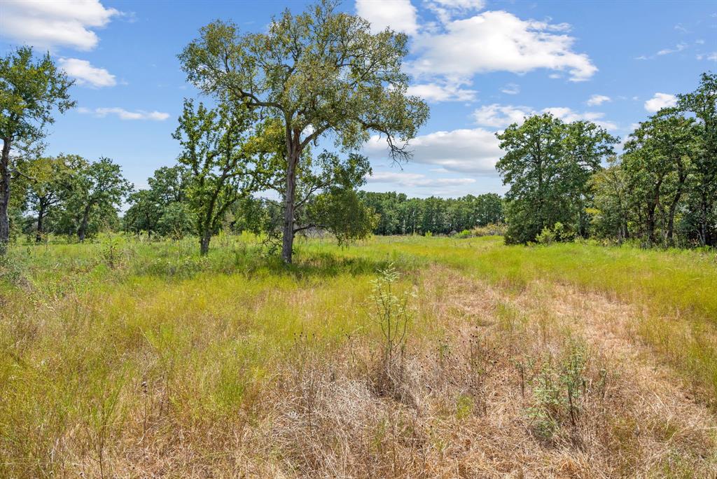 Tbd County Road 2371 Property Photo 31