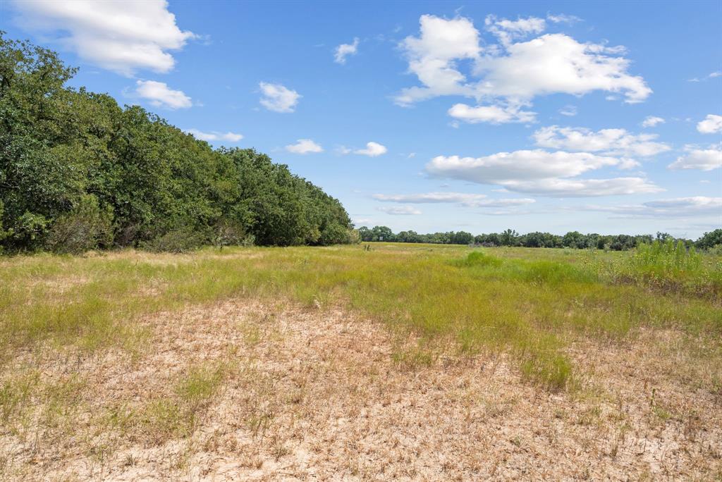 Tbd County Road 2371 Property Photo 32