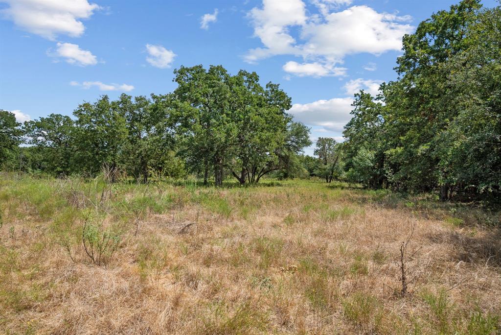 Tbd County Road 2371 Property Photo 33