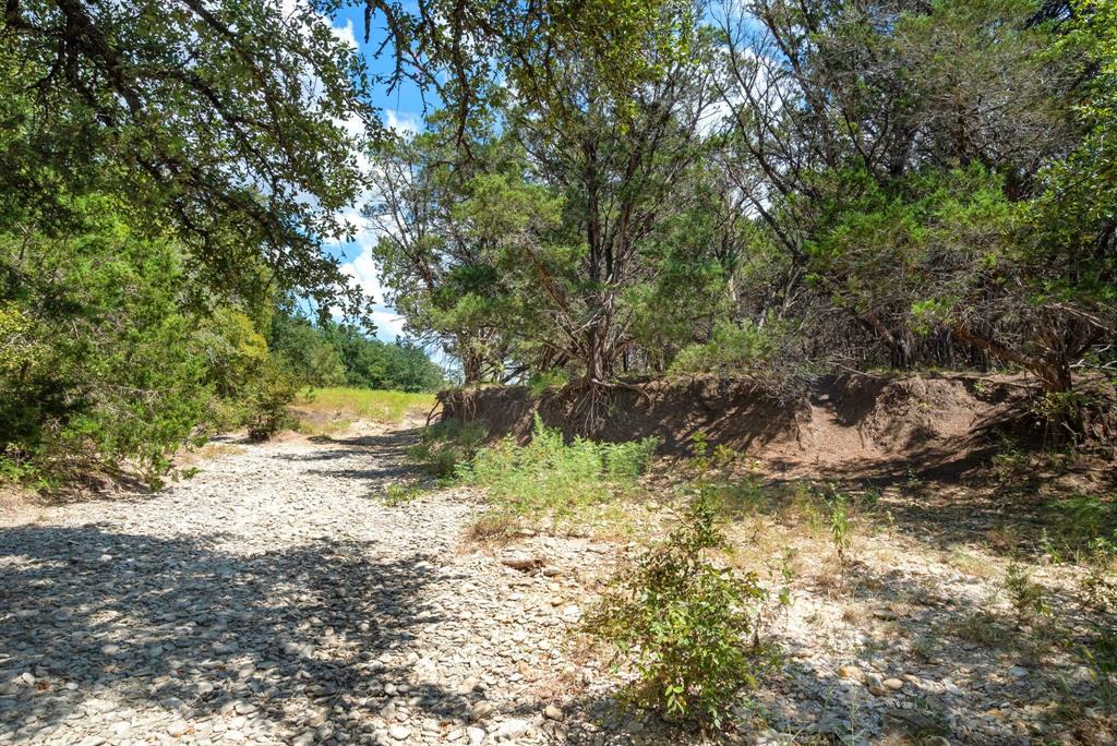 Tbd County Road 2371 Property Photo 35
