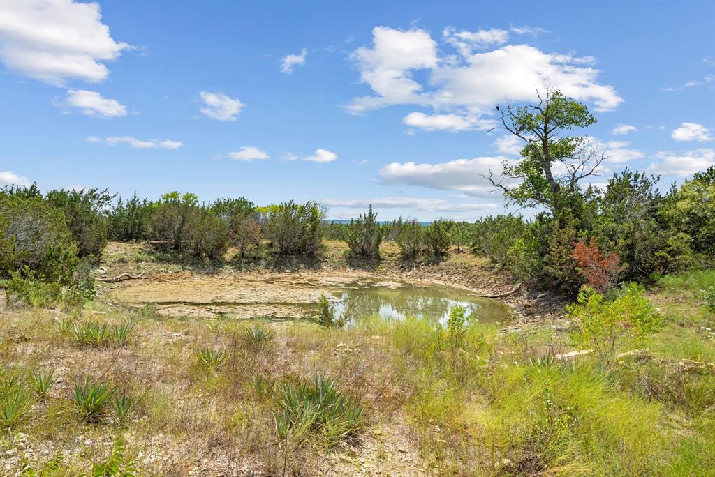 Tbd County Road 2371 Property Photo 37