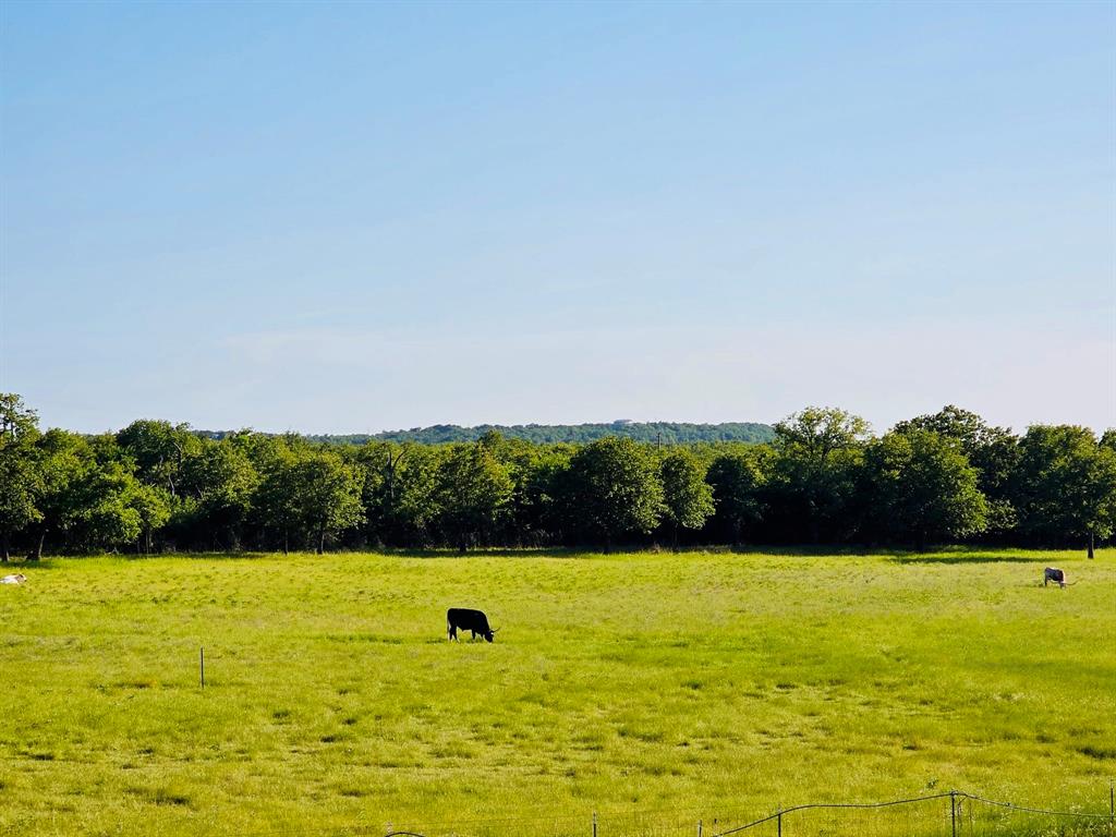 781 Brown Road Property Photo 12
