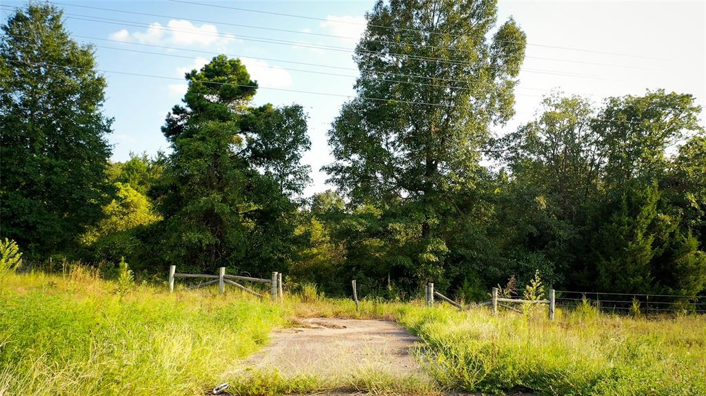 Tbd Highway 3 Property Photo 10