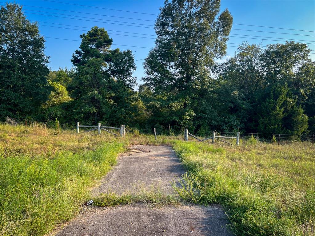 Tbd Highway 3 Property Photo 16