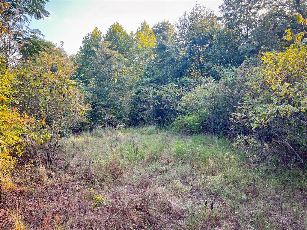Tbd Highway 3 Property Photo 20
