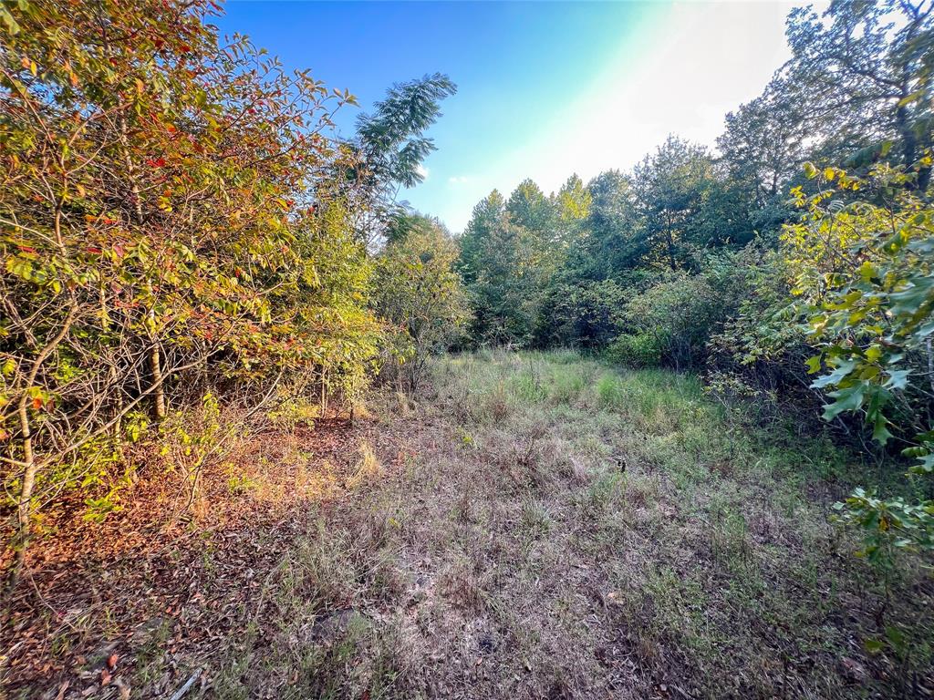 Tbd Highway 3 Property Photo 21