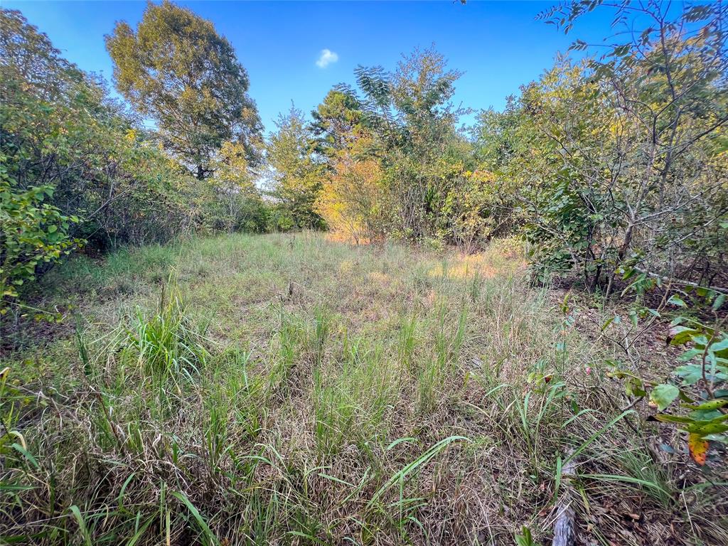 Tbd Highway 3 Property Photo 22