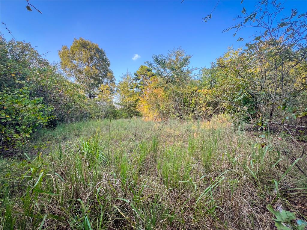 Tbd Highway 3 Property Photo 23