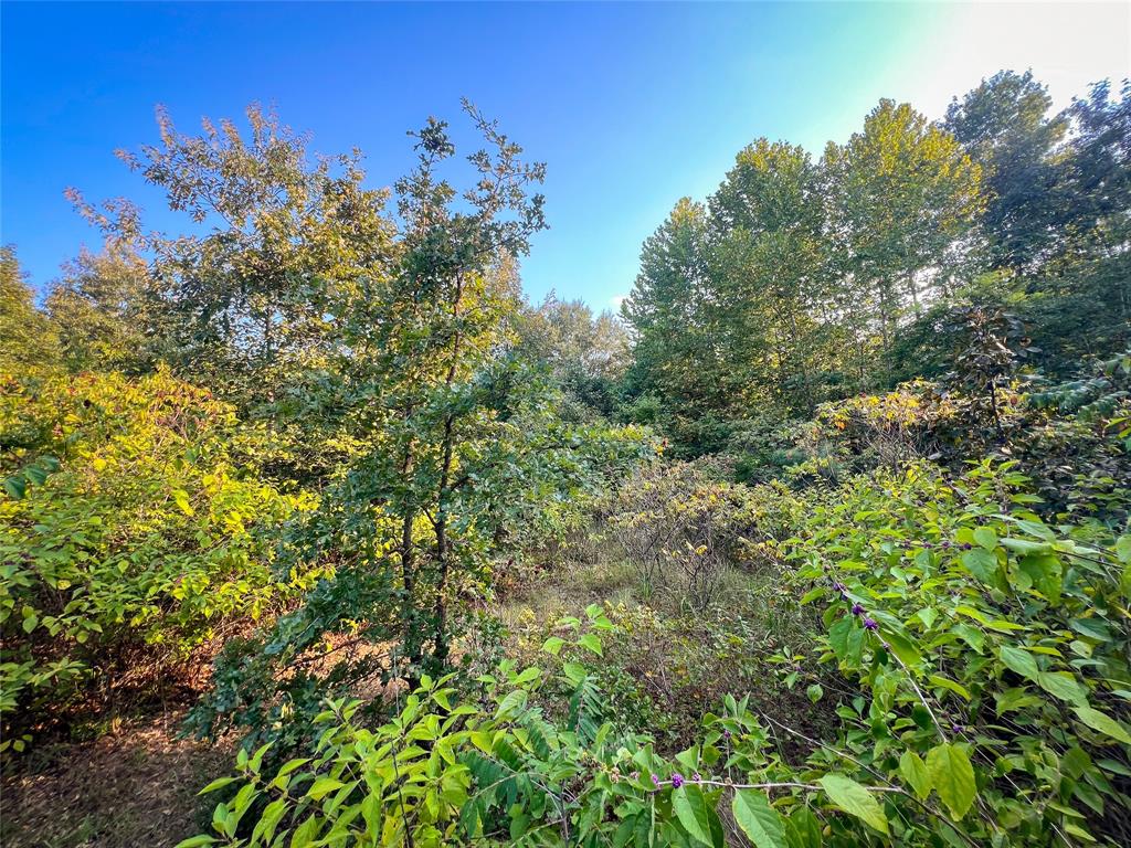 Tbd Highway 3 Property Photo 24