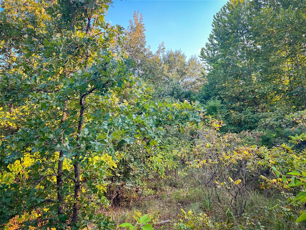 Tbd Highway 3 Property Photo 25