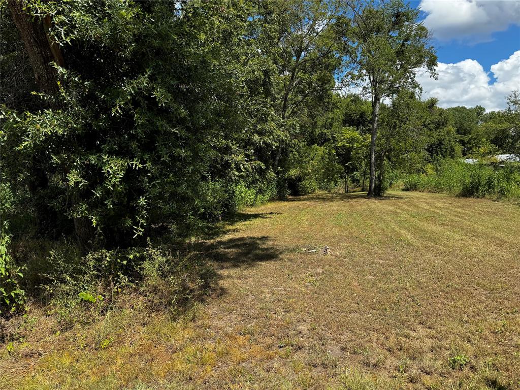 Tbd Jackson Street Property Photo 4