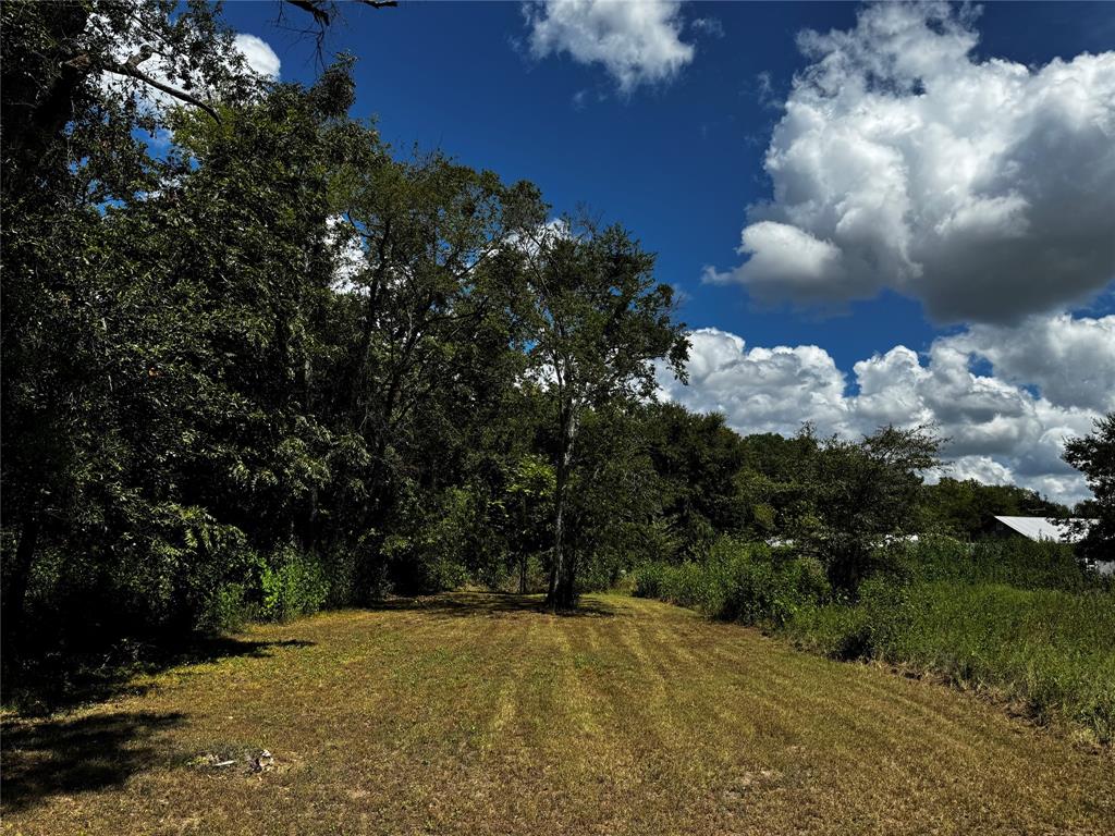 Tbd Jackson Street Property Photo 6