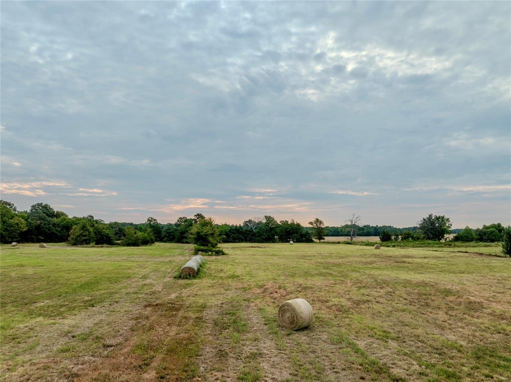 Tbd Fm 1502 Highway Property Photo 2