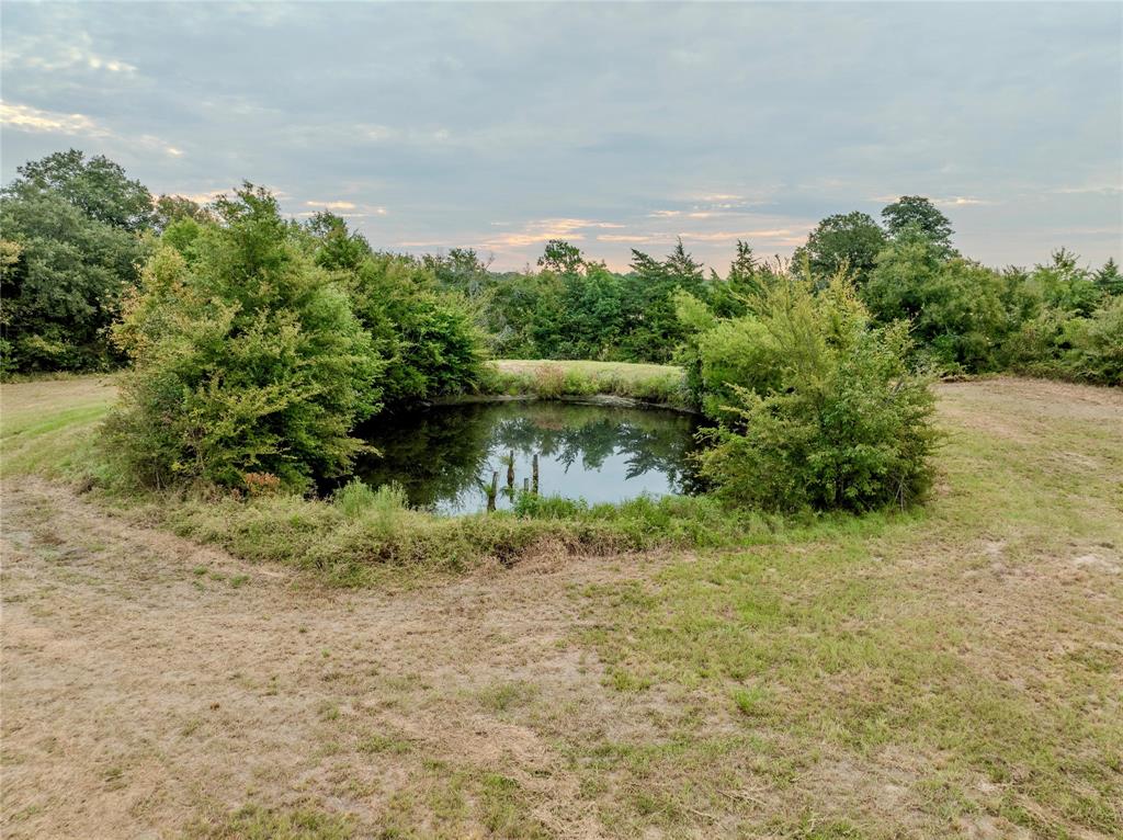 Tbd Fm 1502 Highway Property Photo 3