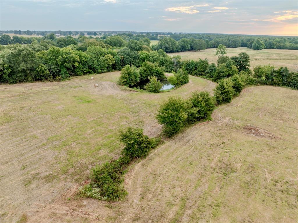 Tbd Fm 1502 Highway Property Photo 12