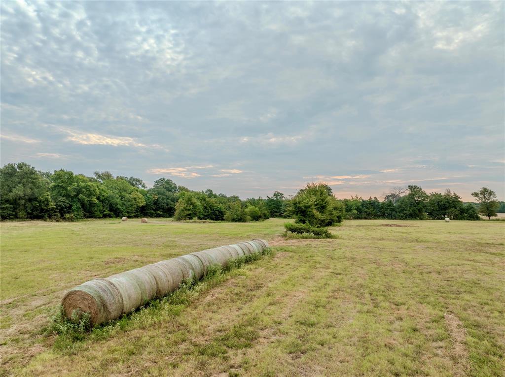 Tbd Fm 1502 Highway Property Photo 13