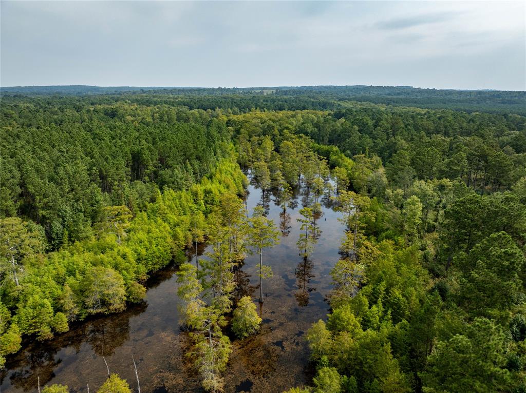 Tbd Moon Lake Rd Property Photo 5