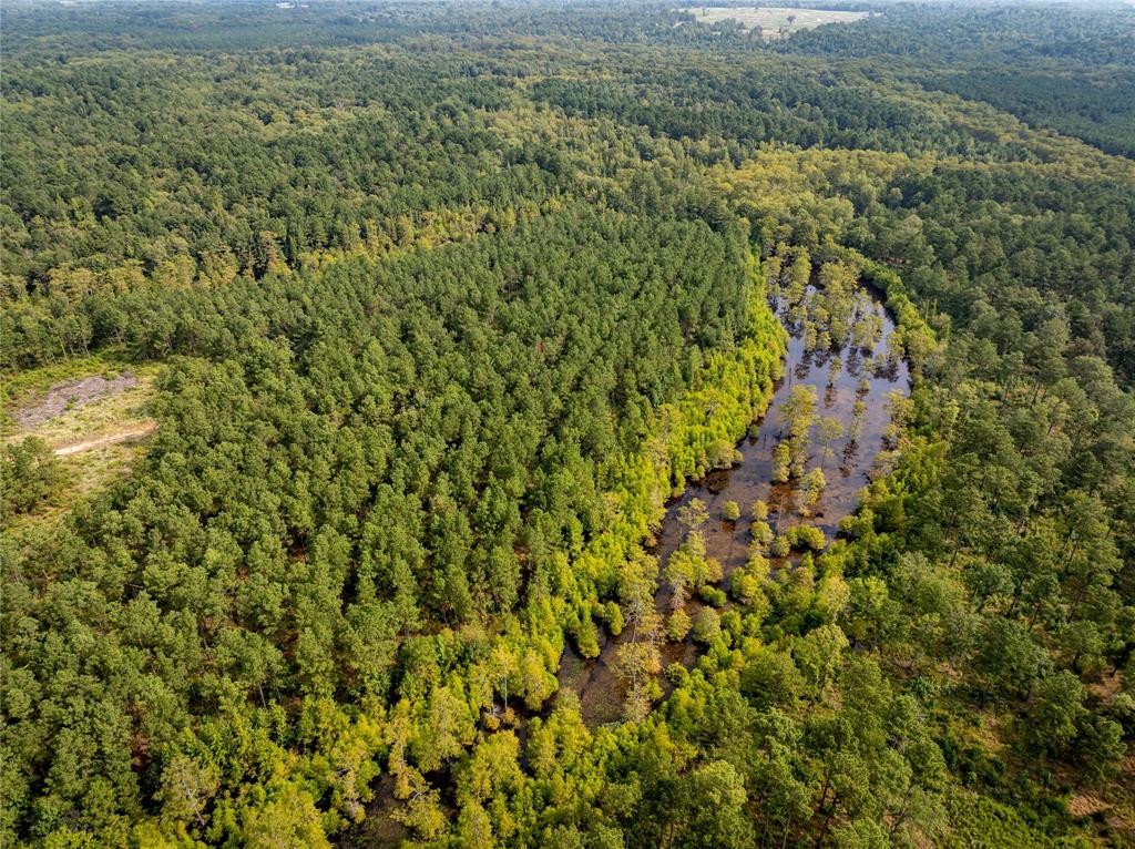 Tbd Moon Lake Rd Property Photo 6